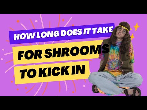 How Long Does It Take For Shrooms To Kick In | Only How To Videos