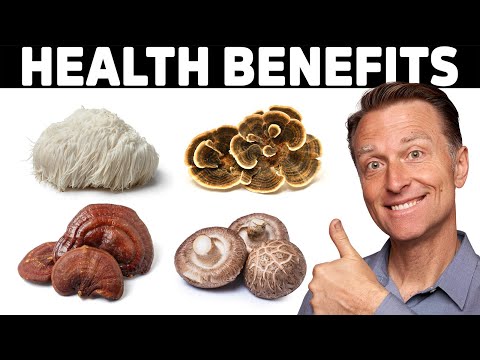 The Mind-Blowing Benefits of 4 Mushrooms