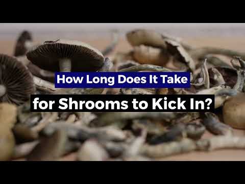 How Long Does It Take For Shrooms To Kick In?