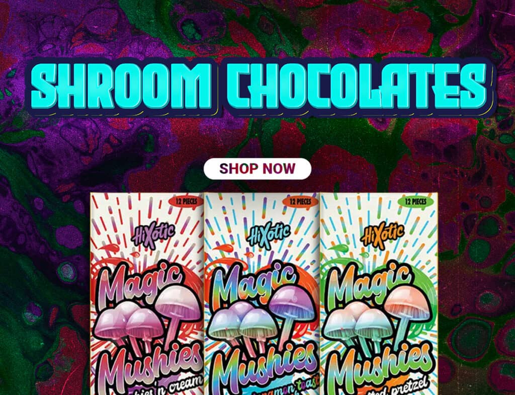 shroom chocolates for sale.