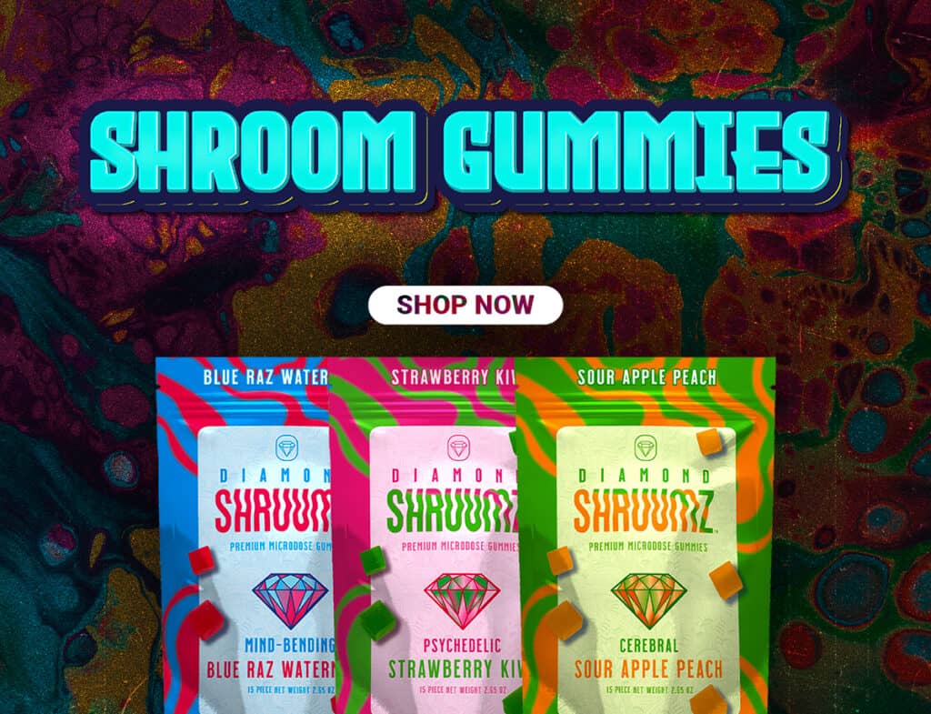 shroom gummies featuring mushrooms on a colorful background.