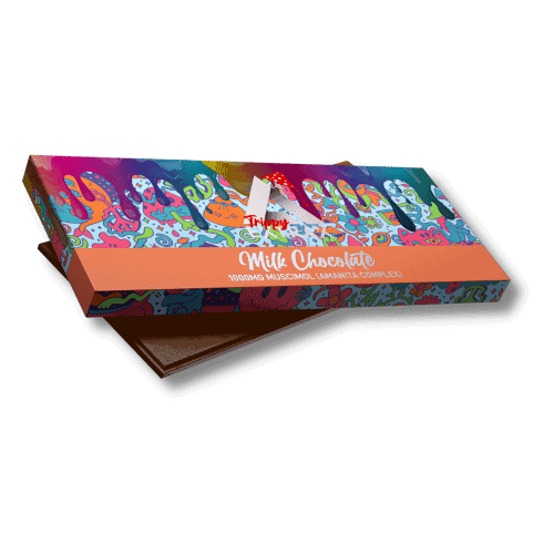 a box of colorful design mushroom chocolates.