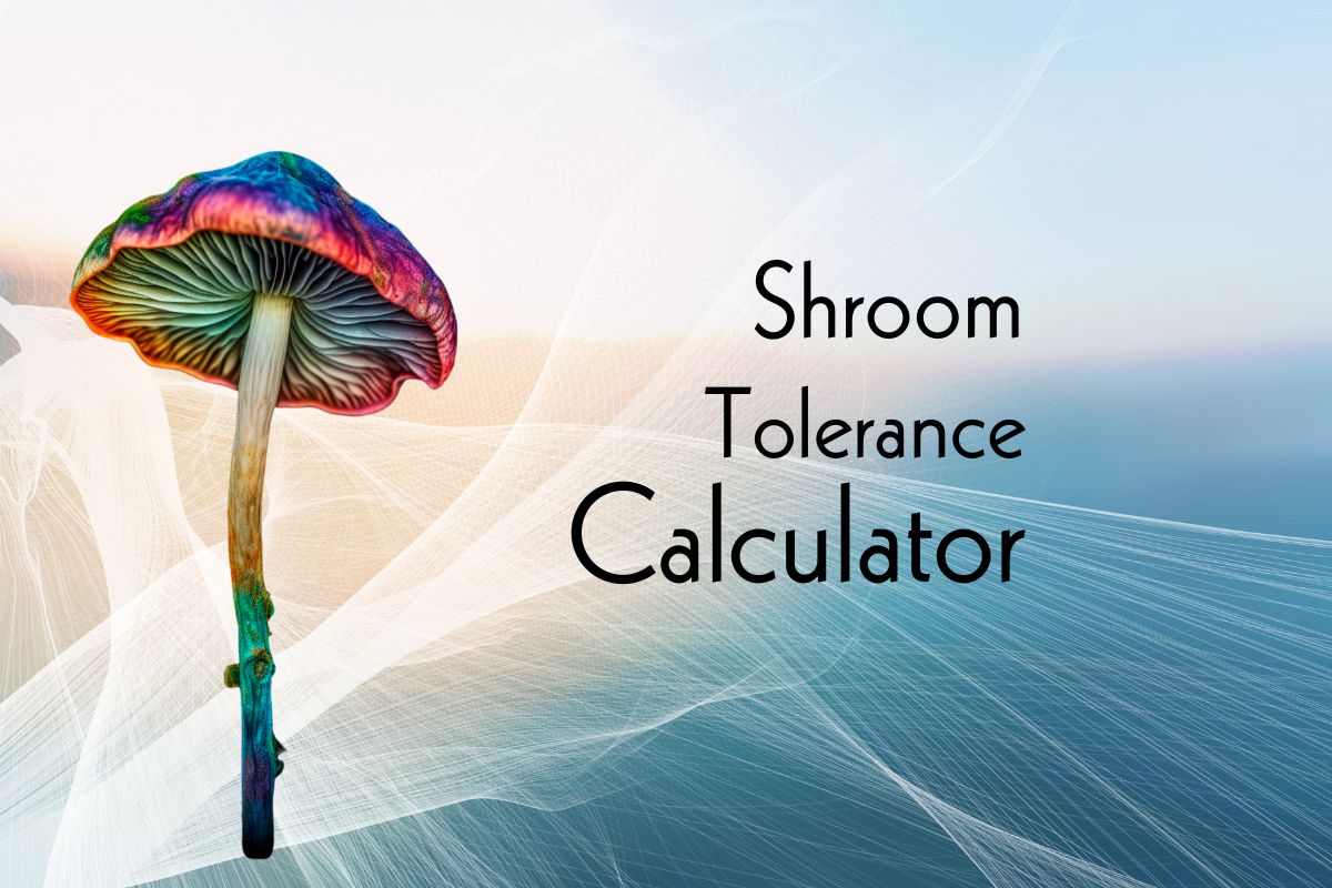 shroom tolerance calculator