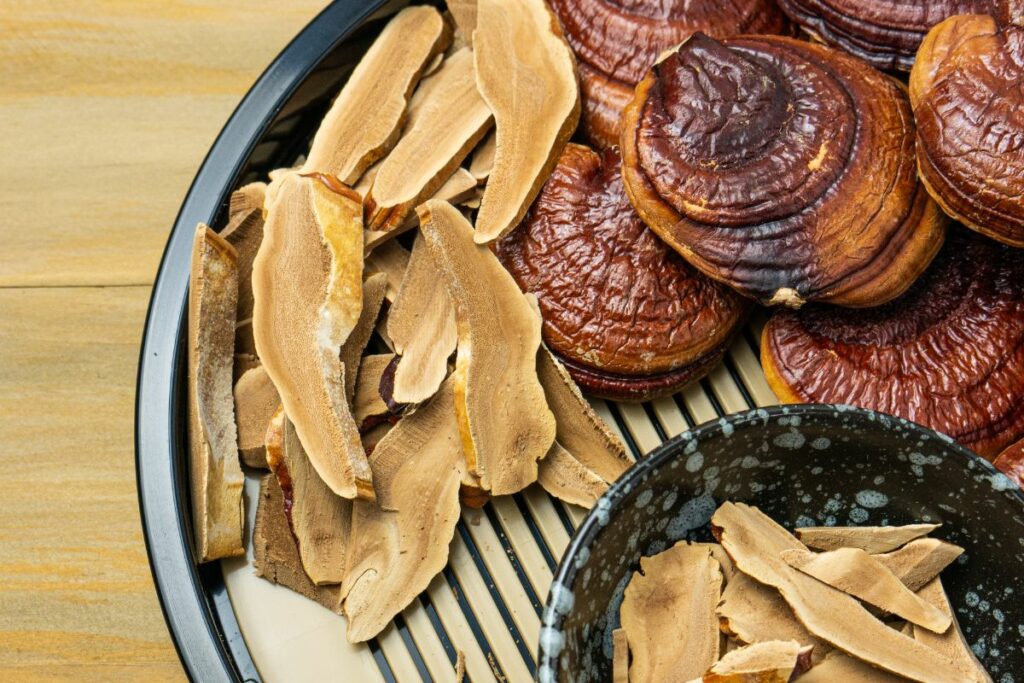 using dried reishi mushroom as a medicine