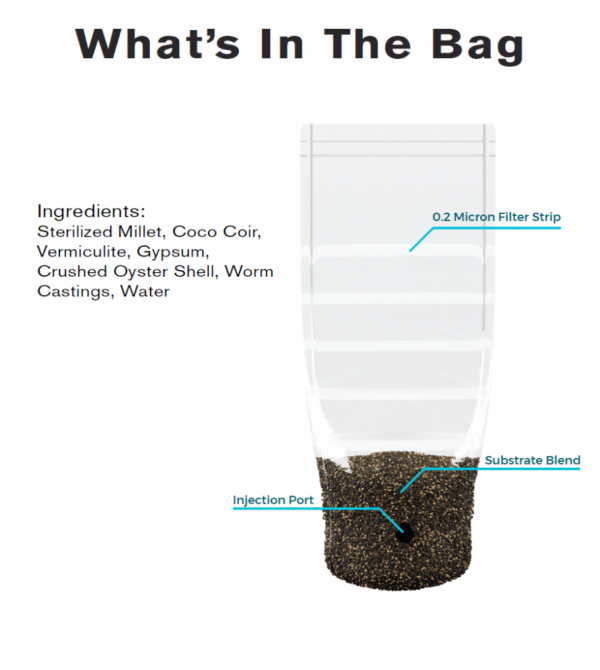 advanced mycology shrüm - all-in-one mushroom grow bag.