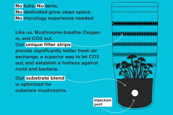 a diagram demonstrating the usage of an advanced mycology shrüm - all-in-one mushroom grow bag for container mushroom cultivation.