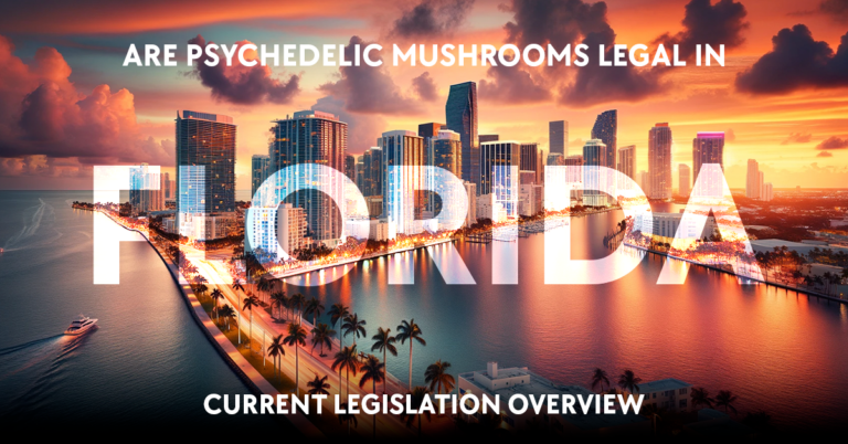 are psychedelic mushrooms legal in florida: current legislation overview