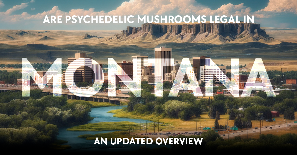 are psychedelic mushrooms legal in montana? this updated overview provides information on the legality of psychedelic mushrooms in montana.
