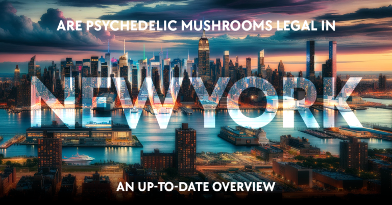 are psychedelic mushrooms legal in new york: an up-to-date overview
