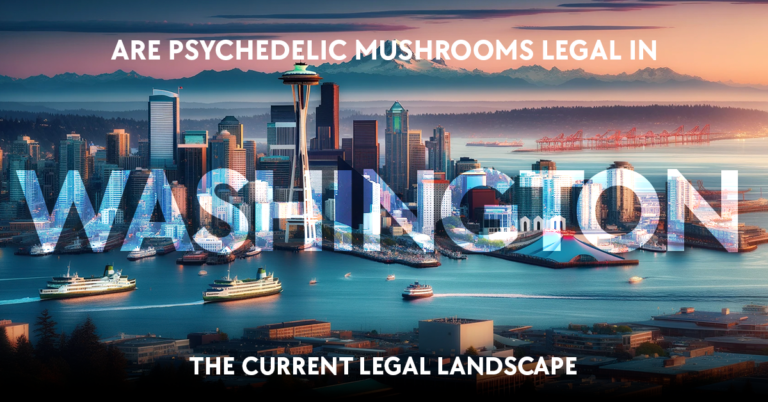 are psychedelic mushrooms legal in washington: the current legal landscape
