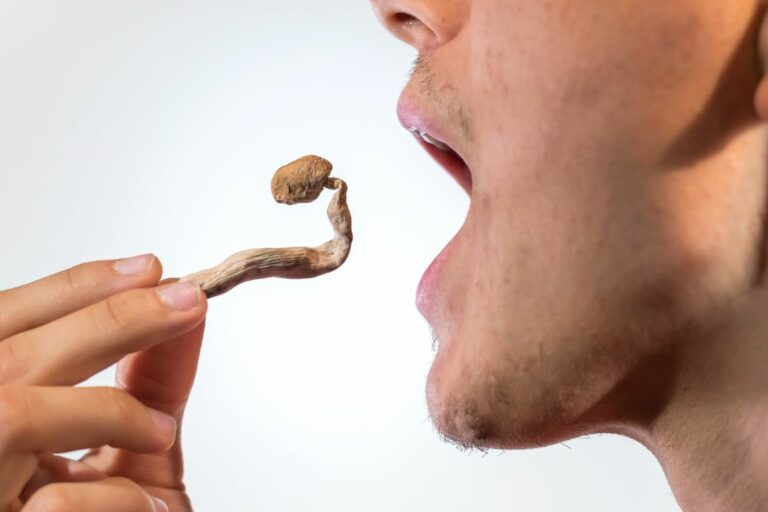 should you eat before taking shrooms: pre-trip nutritional guidelines