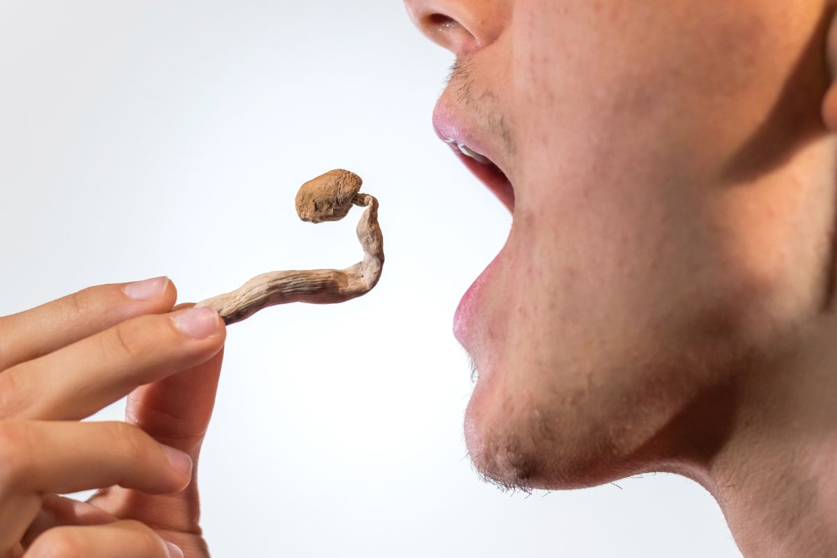 a man about to eat dry mushroom