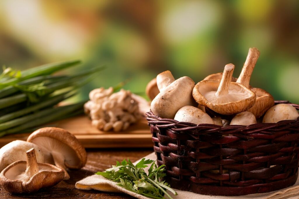 various types of mushrooms in a basket on a wooden table showcasing the benefits of medicinal fungi.