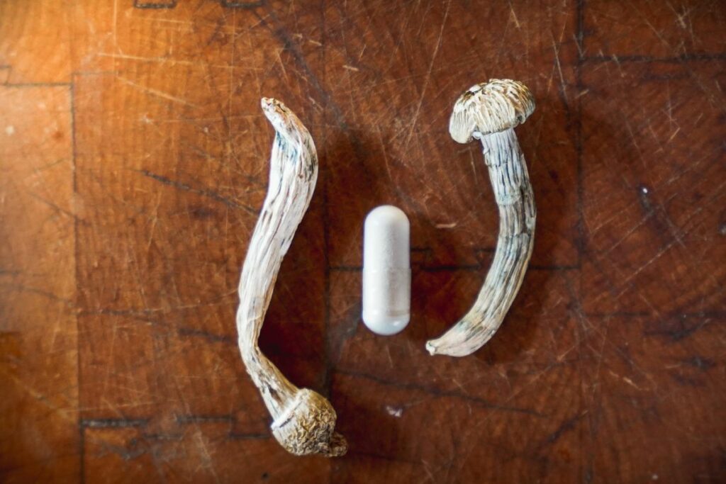two mushrooms and a pill on a wooden table, ideal for pre-trip nutritional guidelines before taking shrooms.