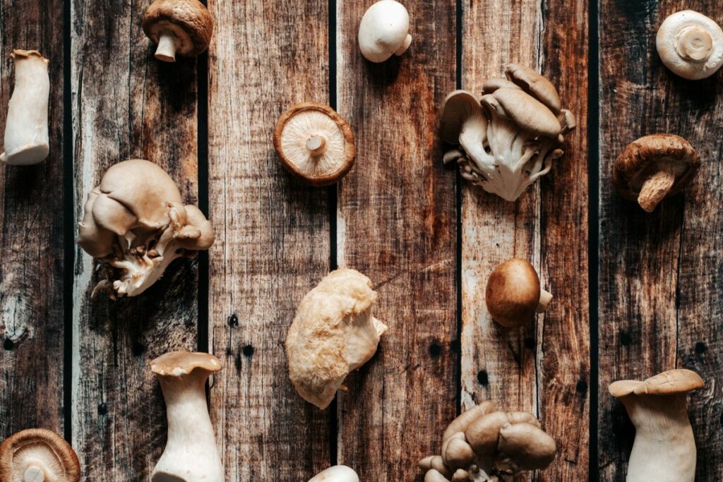 various mushroom types