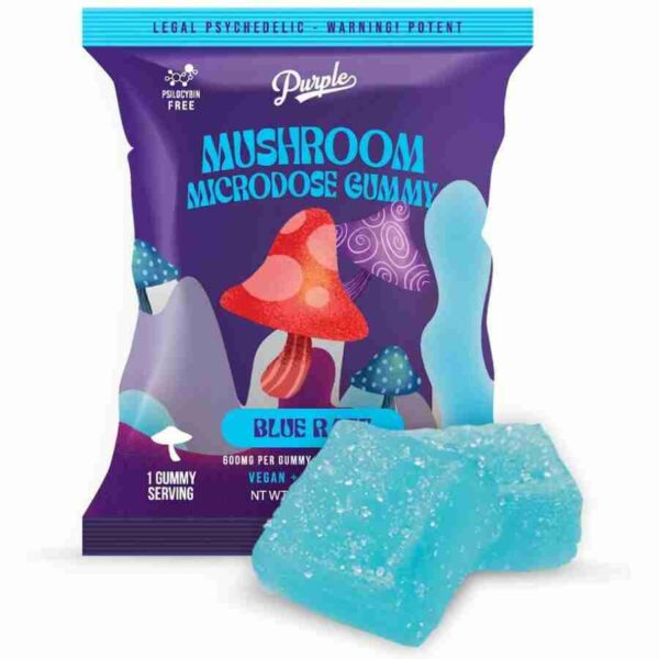purple magic mushroom microdose gummies-2pc blue razz