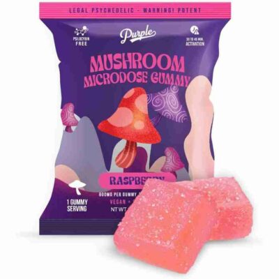 purple magic mushroom microdose gummies 2pc raspberry